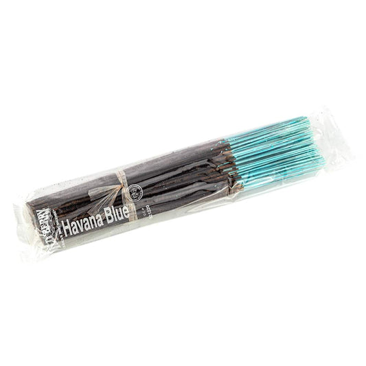 Wild Berry Regular Havana Blue